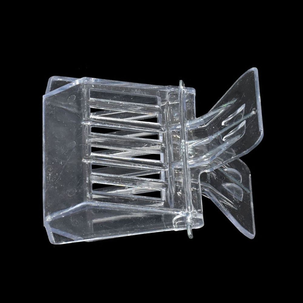50 Pcs Bee Queen Catcher Color – Home Security Fence Bewertung und Preis