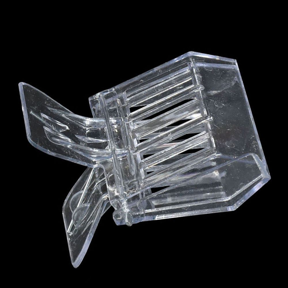 50 Pcs Bee Queen Catcher Color – Home Security Fence Bewertung und Preis